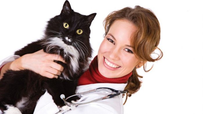 veterinar