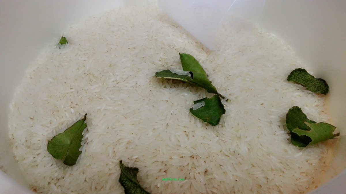 daun limau purut dalam beras