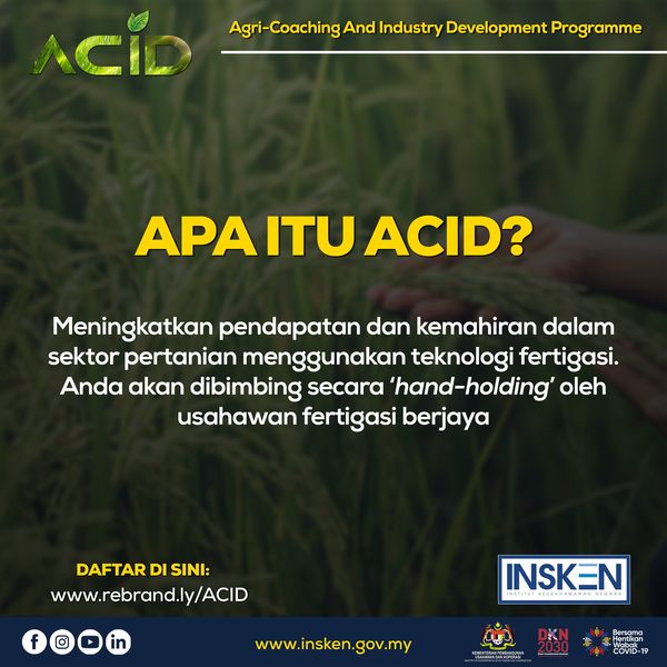 Jana Pendapatan Melalui Tanaman Feritgasi ACID Melalui Program Agri-Coaching And Industry Development Melaka