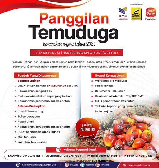 Program On Job Training Pakar Penuai (Harvesting Specialist/Cutter). Dapatkan Cara Mohon Disini