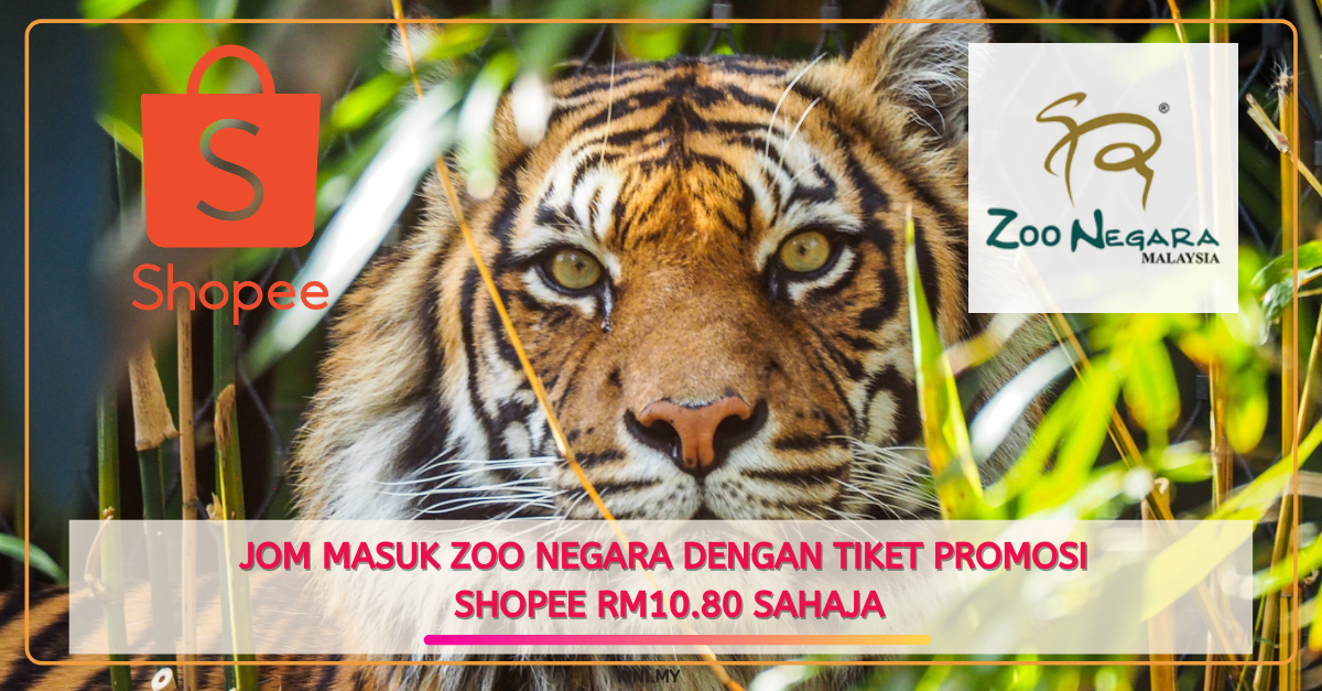 Jom masuk Zoo Negara Dengan Tiket Promosi Shopee RM10.80 Sahaja