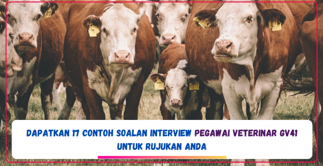 Dapatkan 17 Contoh Soalan Interview Pegawai Veterinar GV41 Untuk Rujukan Anda
