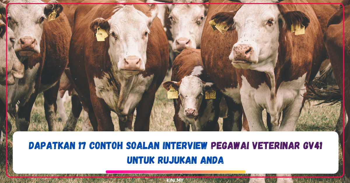 Dapatkan 17 Contoh Soalan Interview Pegawai Veterinar GV41 Untuk Rujukan Anda
