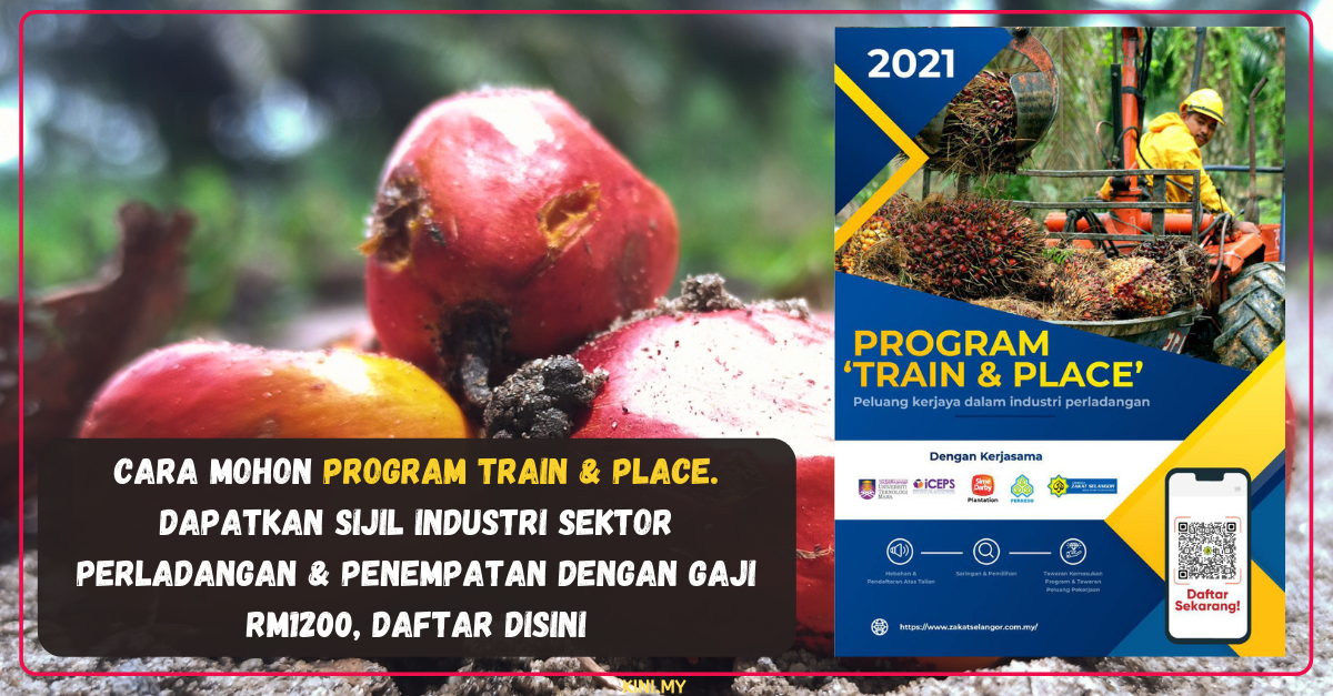 Cara Mohon Program Train & Place. Dapatkan Sijil Industri Sektor Perladangan & Penempatan Dengan Gaji RM1200, Daftar Disini