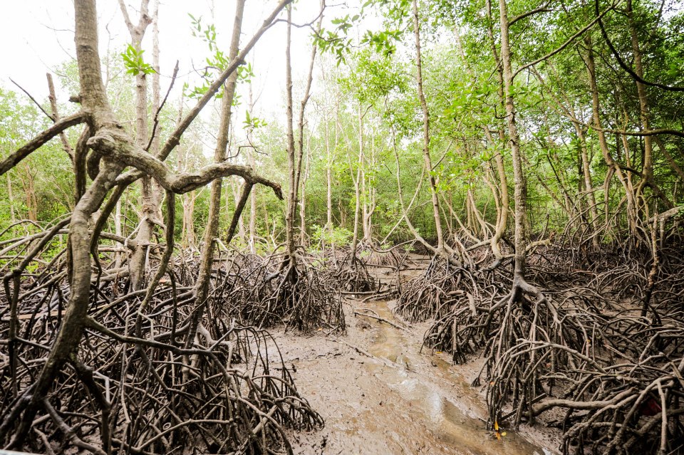 Nak Beli Rumah? Elak Beli Rumah Dari 3 Jenis Kawasan Perumahan Ini Tau!